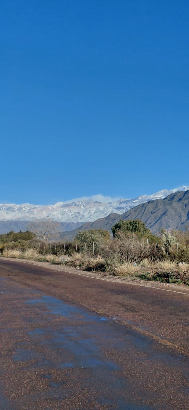 Alta Montaña en Mendoza